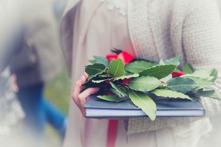 foto con mano che sorregge tesi di laurea e corona di alloro per simboleggiare premio di laurea